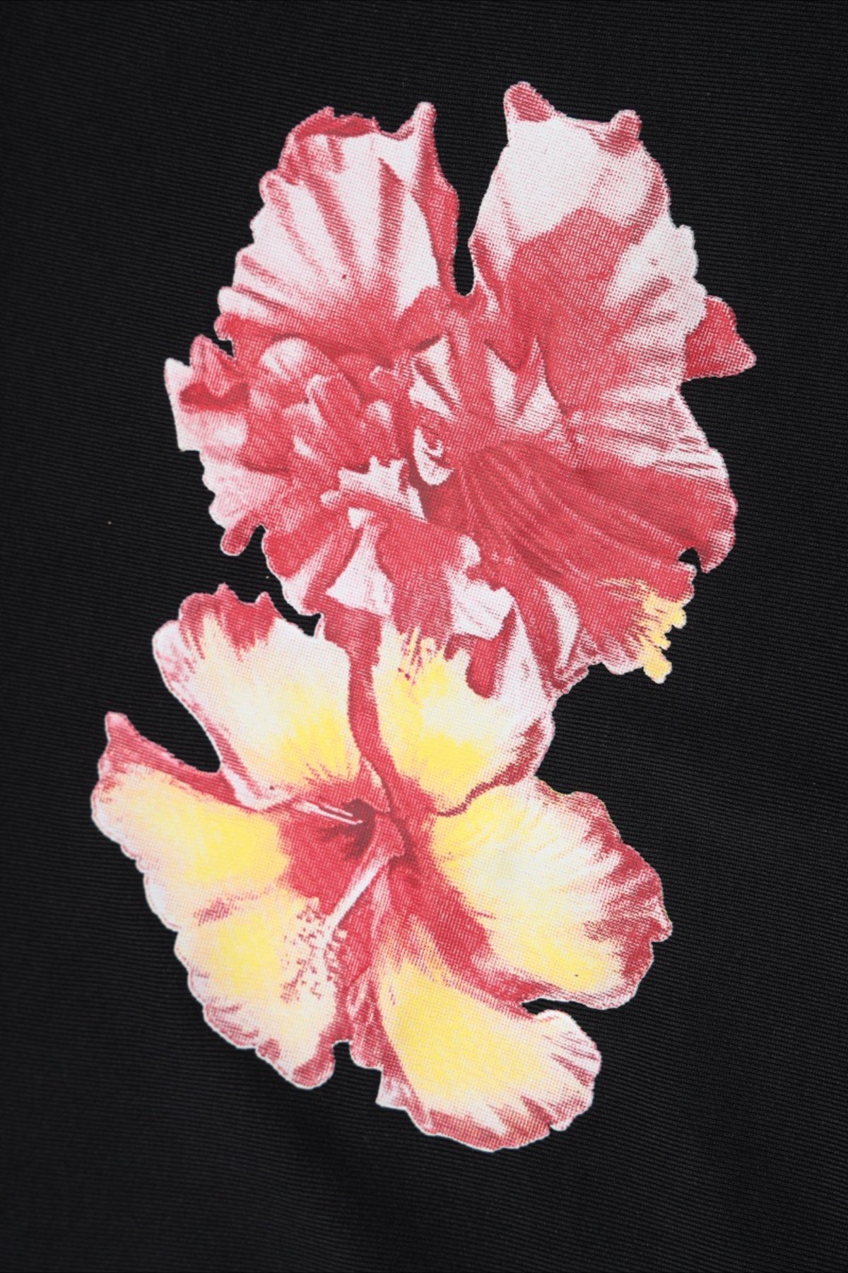 Chic Off Shoulder Floral Print Crop T-shirt