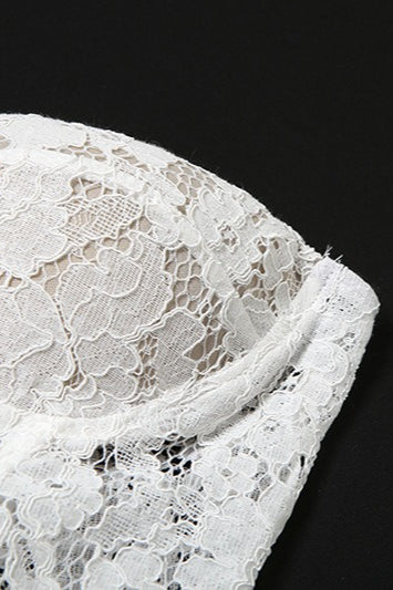 Lace Bustier Bodycon Formal Dress