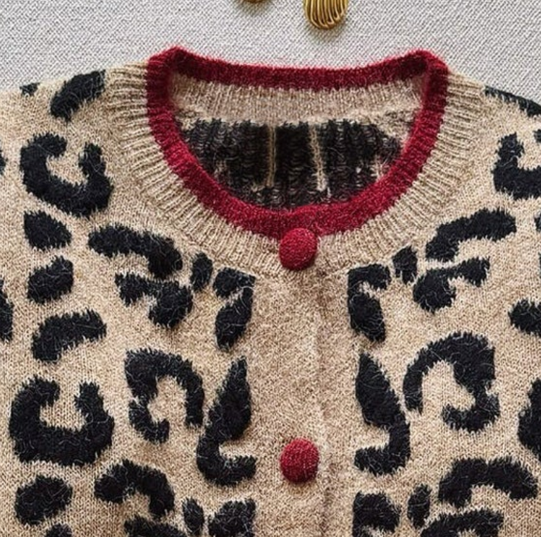 Aranza® | Cardigan unique à Manches longues, imprimé léopard, the couleur marron