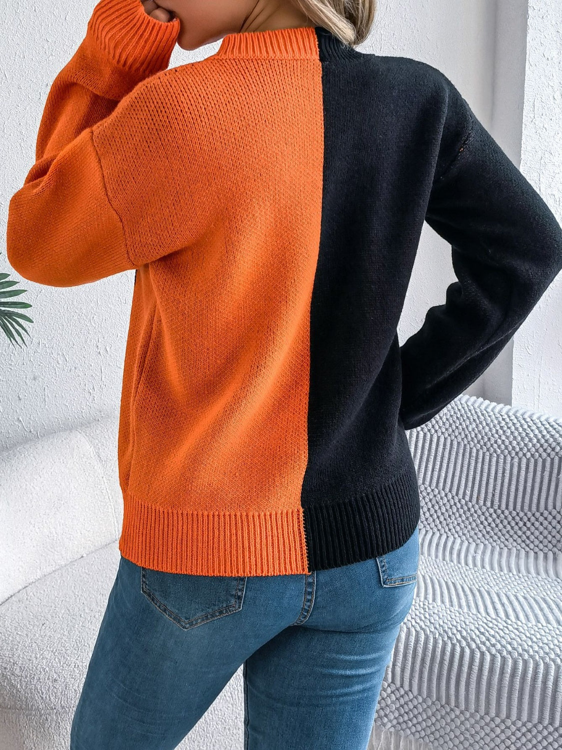 Ana | Contrasting long-sleeved sweater with a crew neck