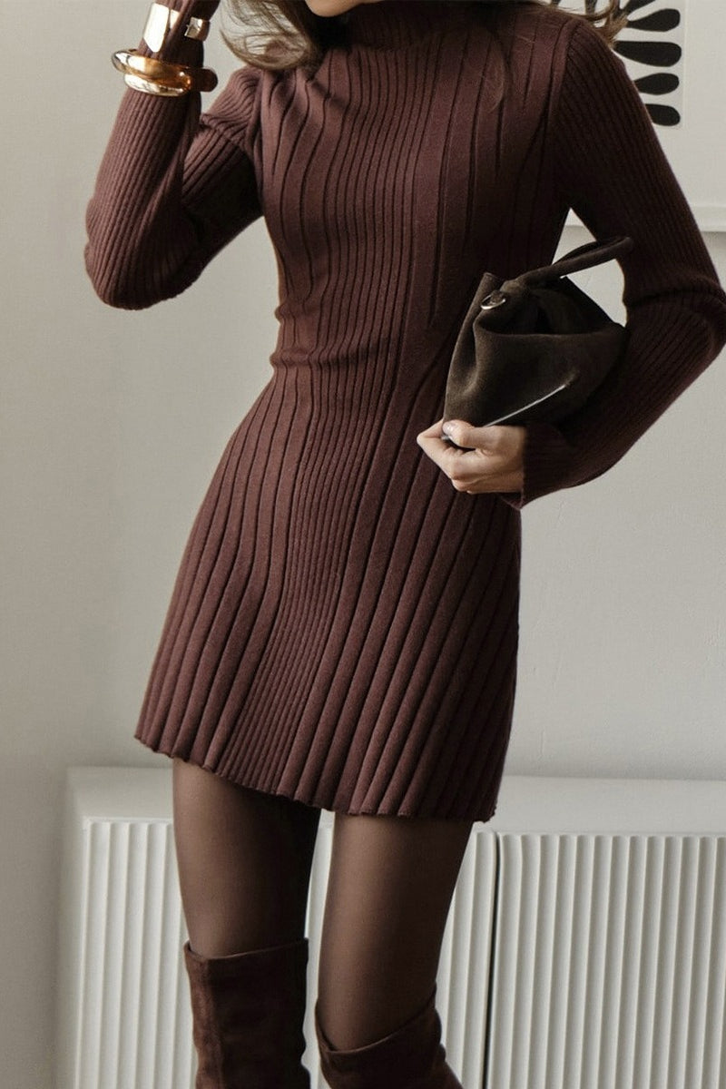 Elegant Playful Knit Mock Neck Long Sleeve A Line Mini Dress