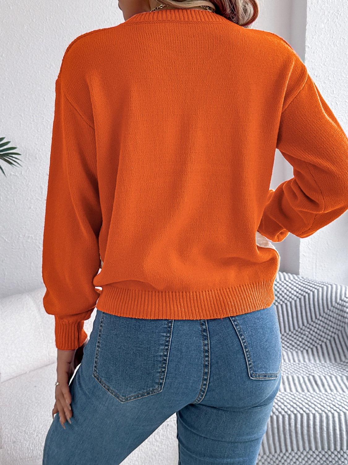 Dominique | Contrasting long-sleeved sweater with a crew neck
