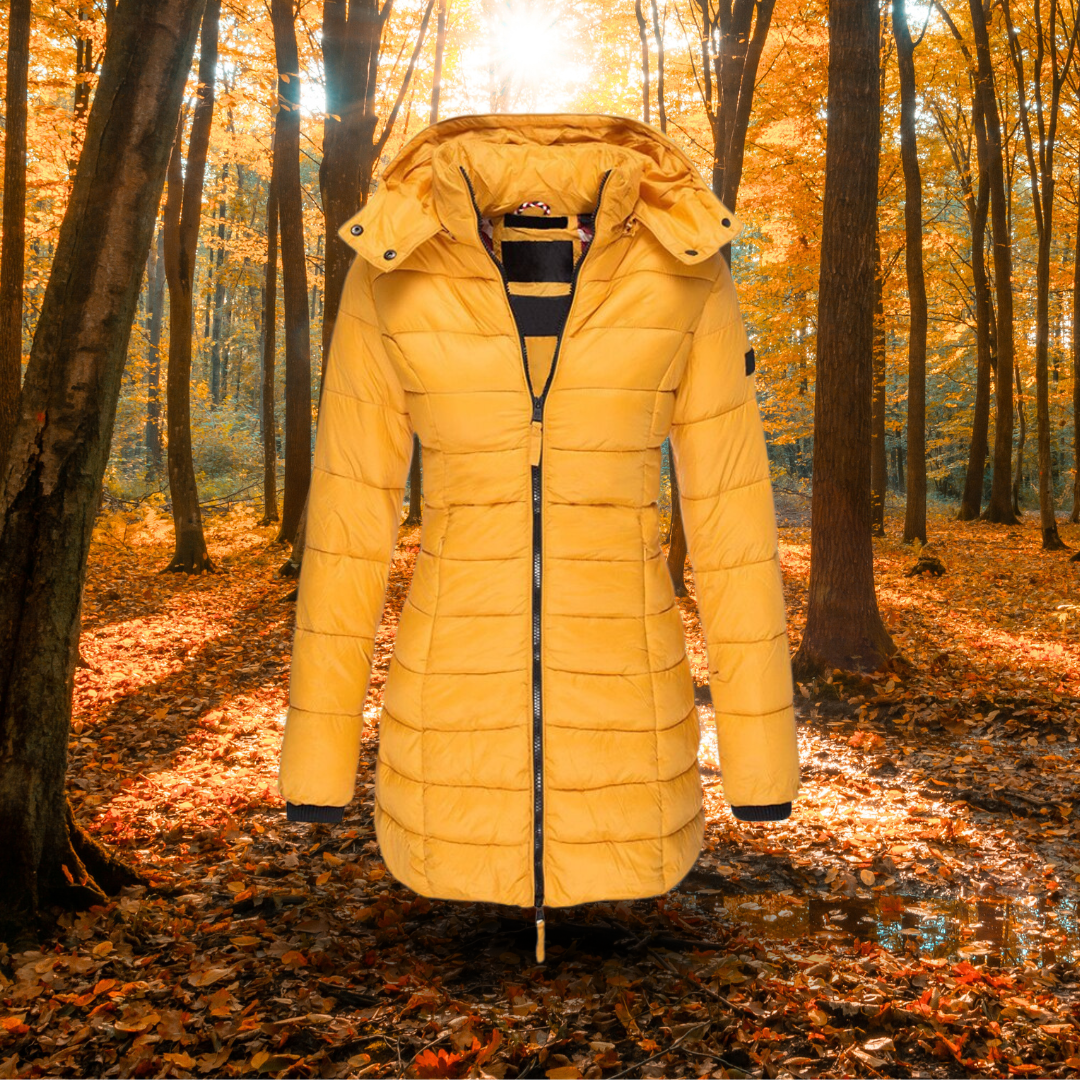 Zoraida | The outdoor winter park