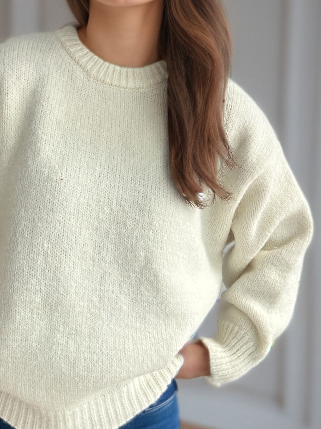 Hortensia | Crew neck sweater with long sleeves