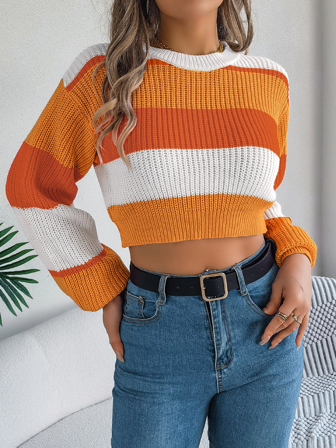 Magda | Cropped color block crew neck sweater