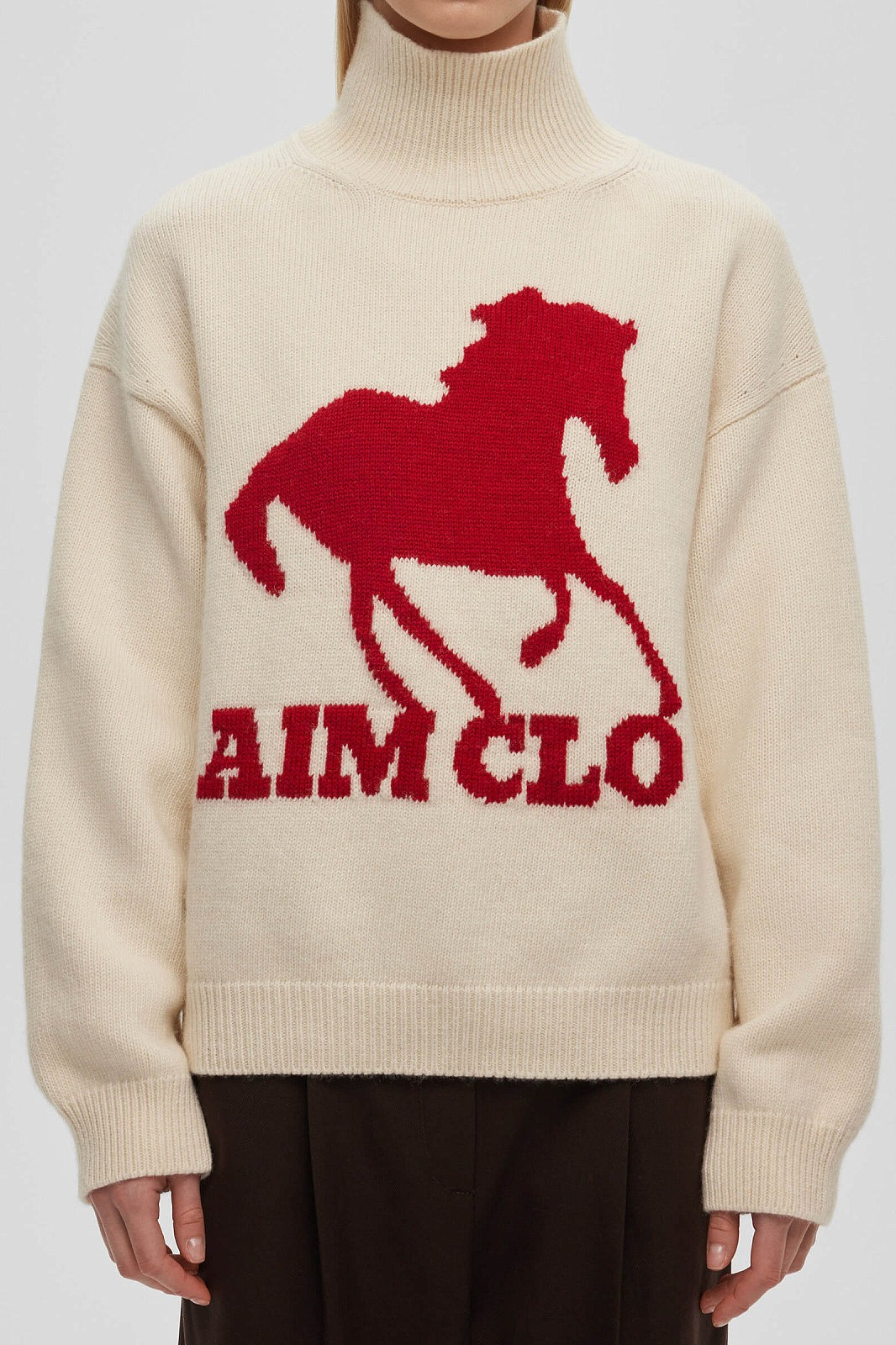 Animal Print Colorblock Turtle Sweatshirt