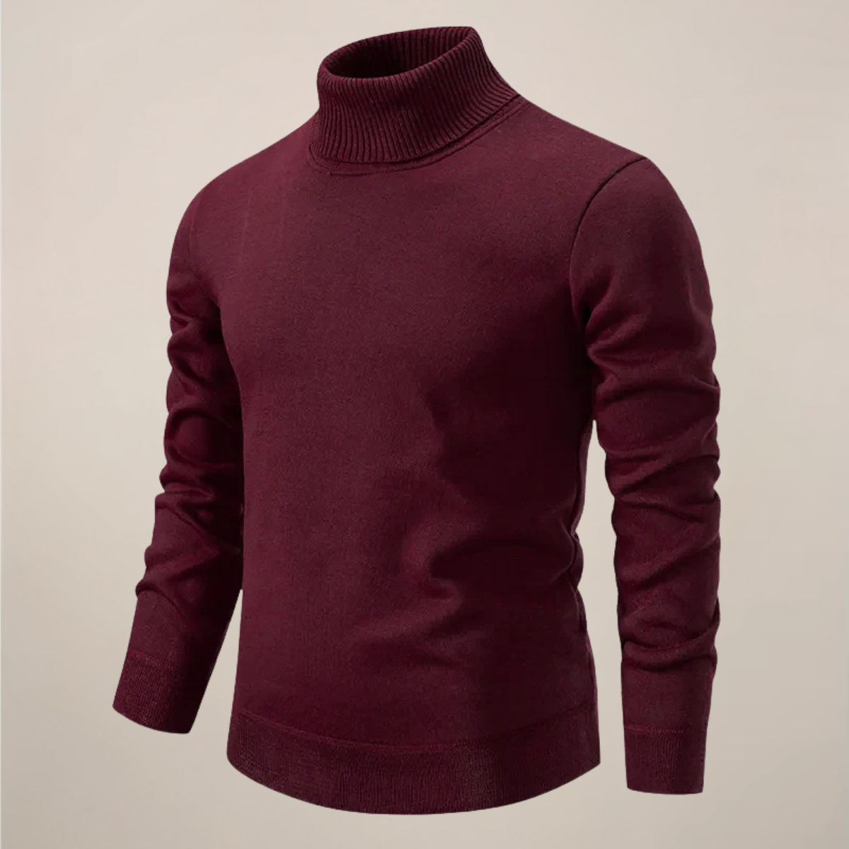 Paul | Men Spring Turtleneck Pullover Sweater