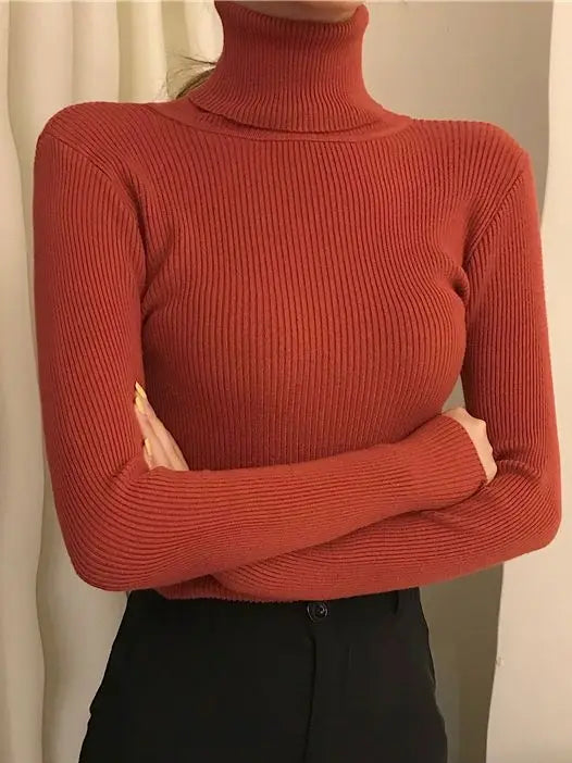 Irati | Turtleneck sweater for women