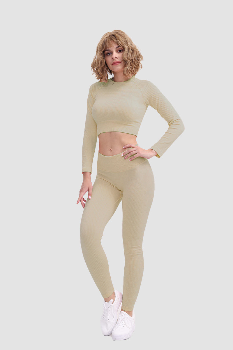 Gabriela | Seamless soft sports t-shirt and leggings set