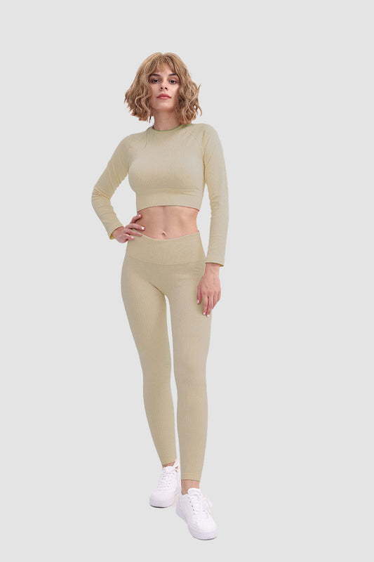 Gabriela | Seamless soft sports t-shirt and leggings set