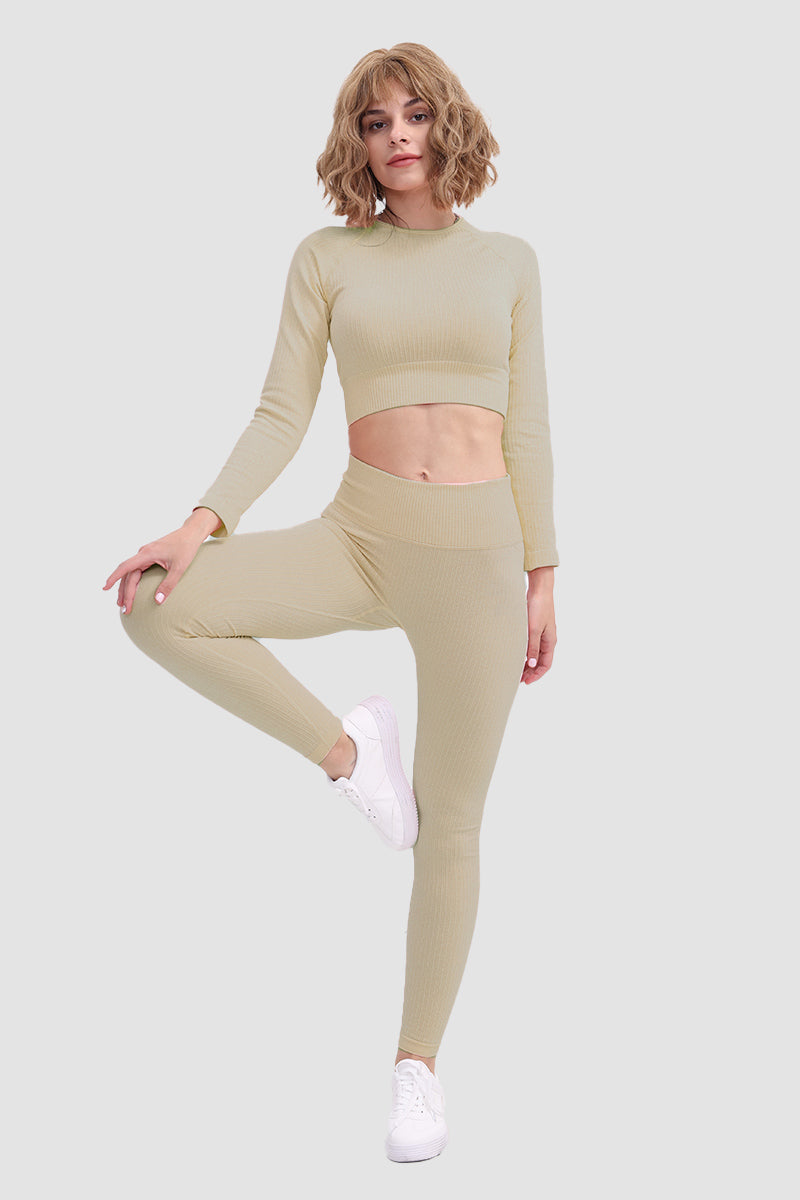 Gabriela | Seamless soft sports t-shirt and leggings set