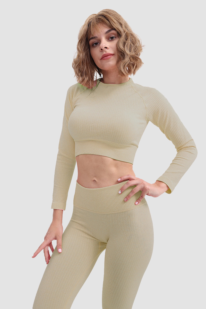 Gabriela | Seamless soft sports t-shirt and leggings set