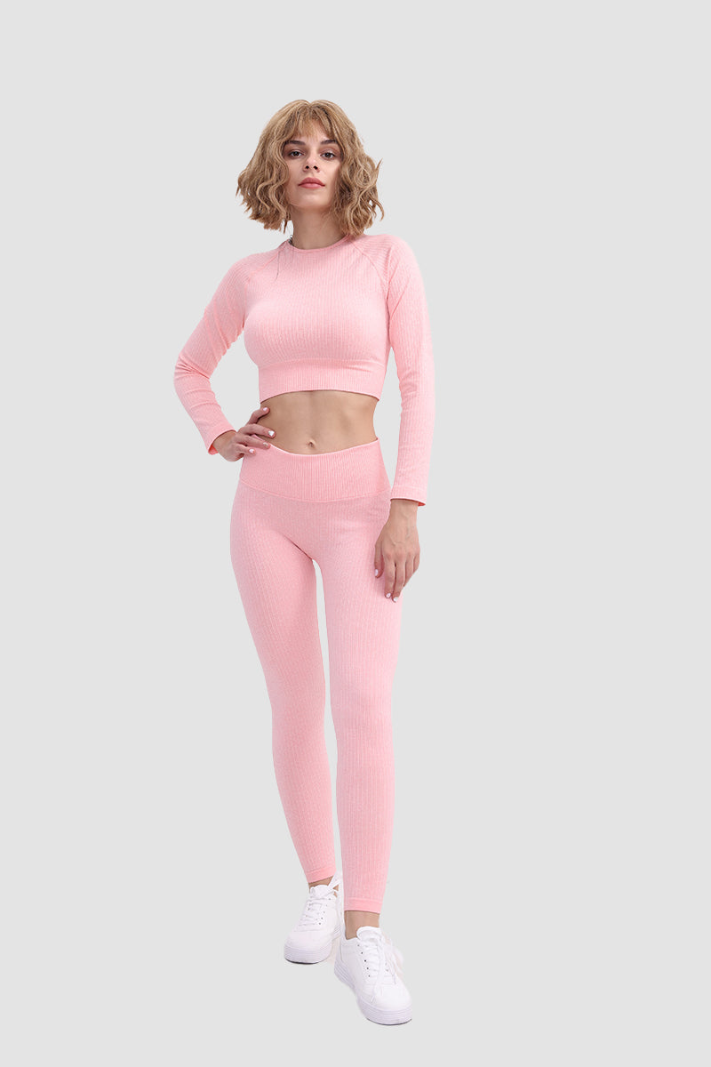 Gabriela | Seamless soft sports t-shirt and leggings set