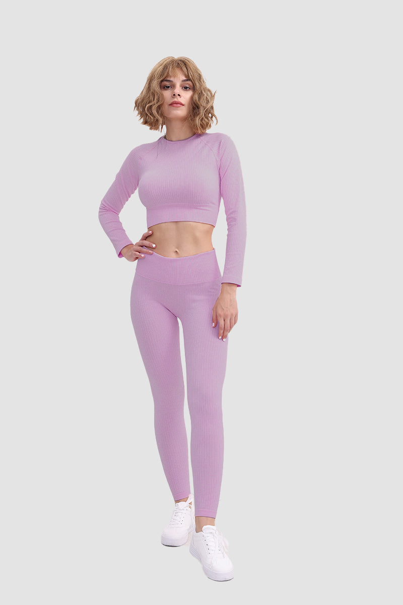 Gabriela | Seamless soft sports t-shirt and leggings set