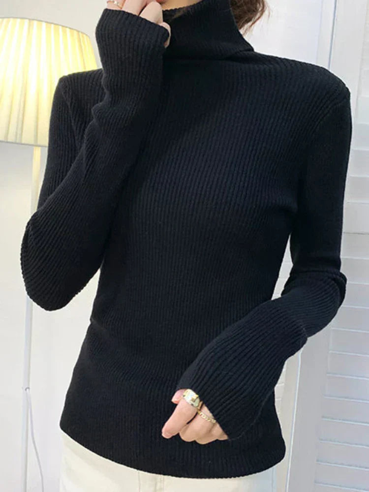 Irati | Turtleneck sweater for women