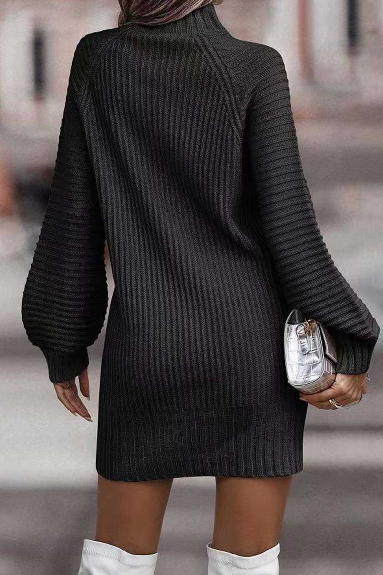Larisa | Solid color turtleneck sweater dress