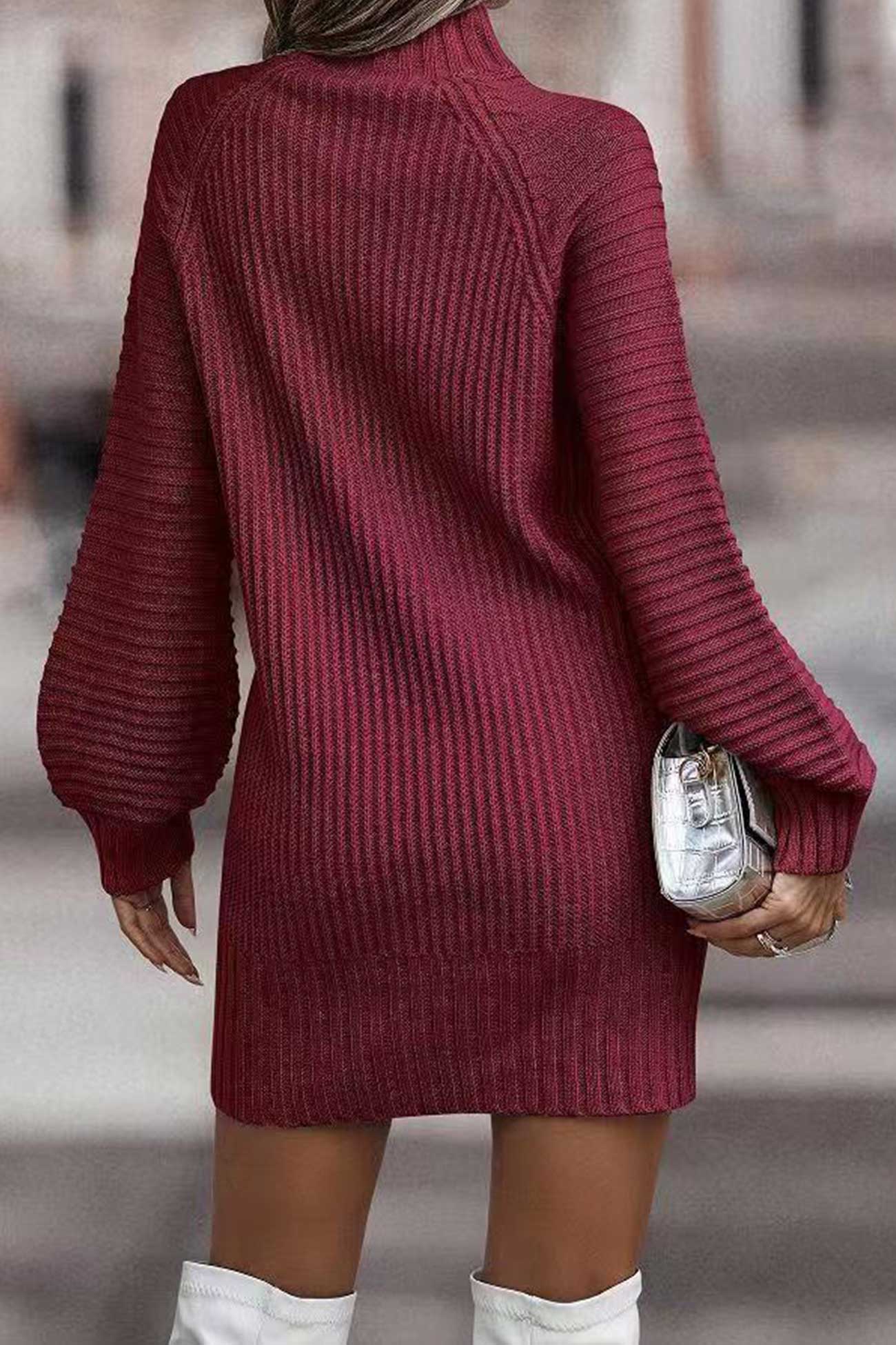 Larisa | Solid color turtleneck sweater dress