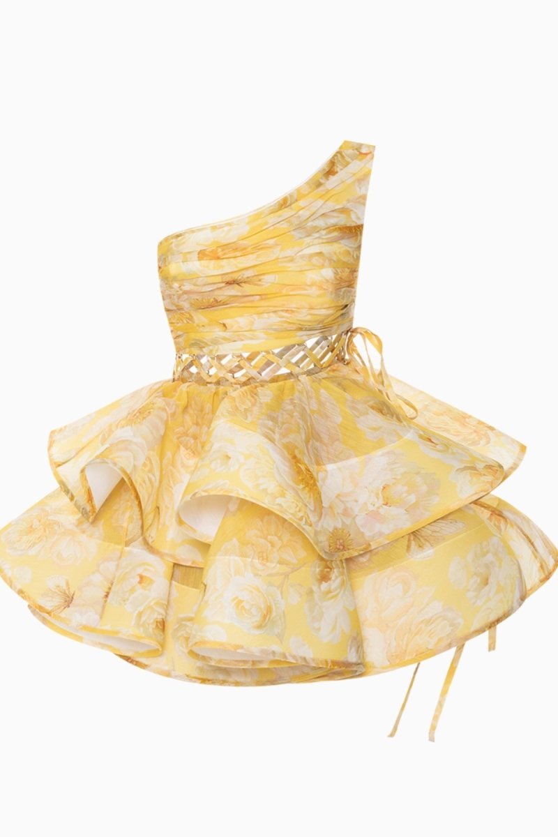 Paula® | Floral-Print One-Shoulder Chiffon Mini Dress