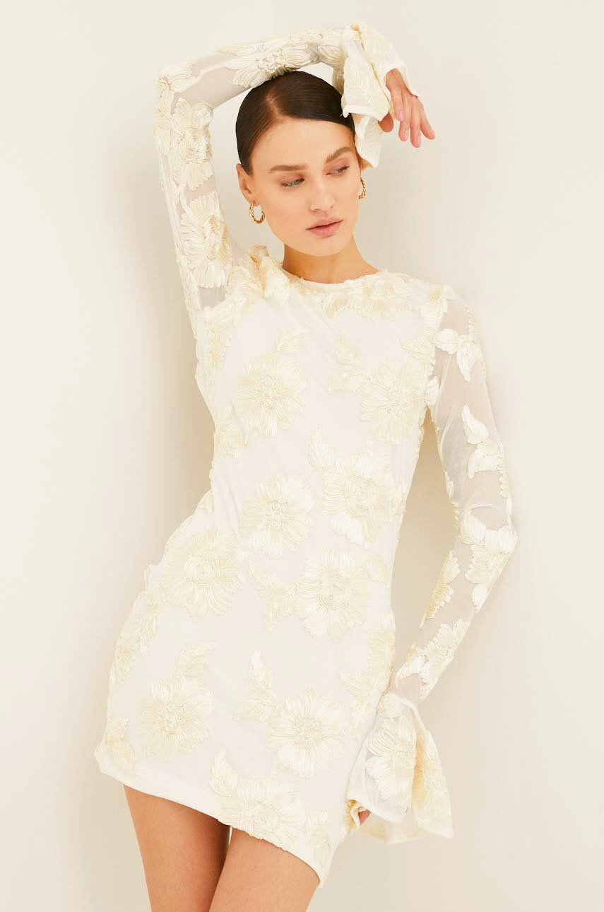 Norma® | Backless Embroidered Mesh Mini Dress