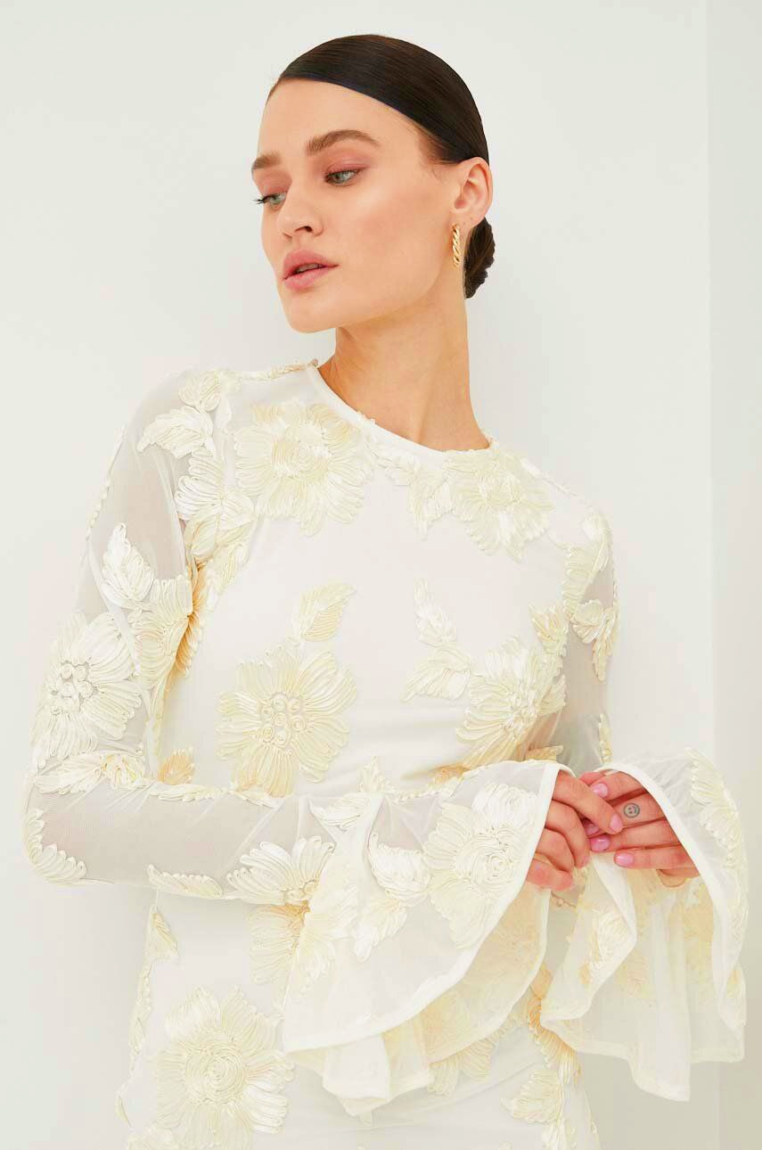 Norma® | Backless Embroidered Mesh Mini Dress