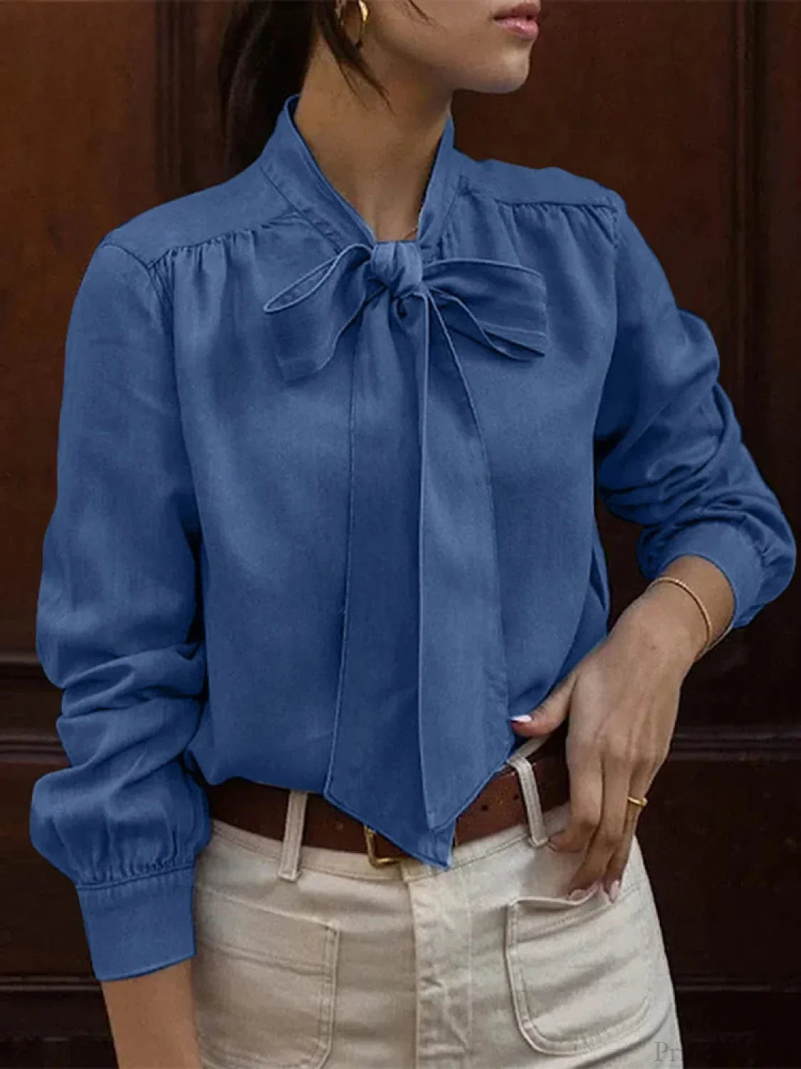 Bowtie Neck Pleating Blouse Casual Chic Blouse