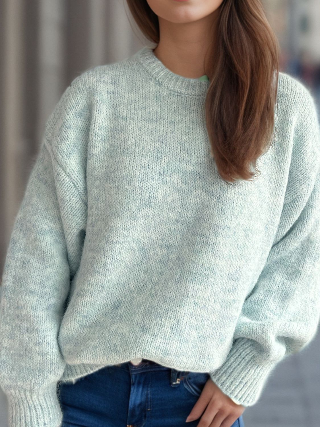 Hortensia | Crew neck sweater with long sleeves
