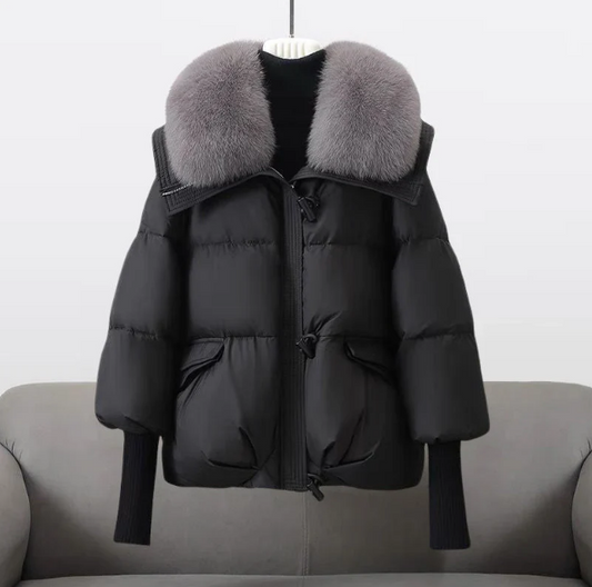 Catalina | Jacket