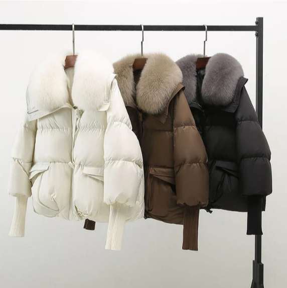 Catalina | Jacket