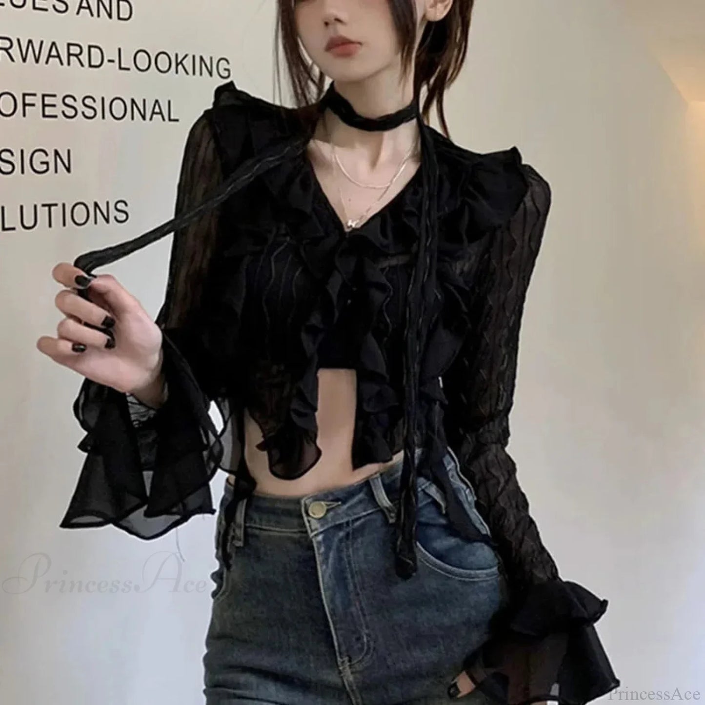 Transparent V-neck Flared Sleeve Blouse