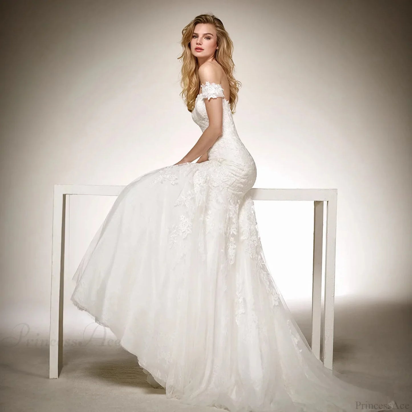 V-Neck Long Train Sheer Wedding Dress